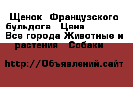 Щенок  Французского бульдога › Цена ­ 35 000 - Все города Животные и растения » Собаки   